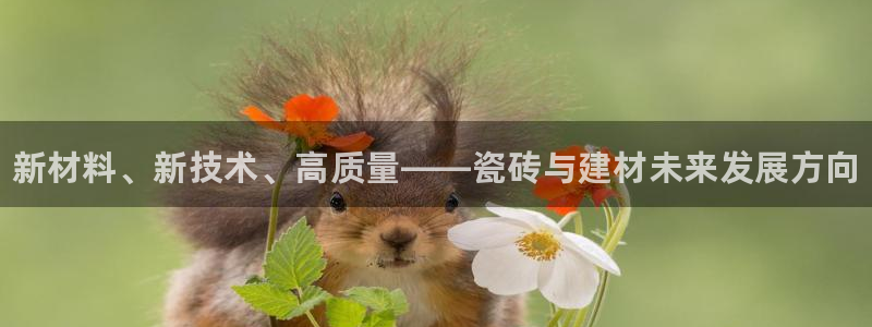 杏鑫平台在线注册怎么注册