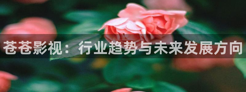 蜂鸟影院在线观看官网：苍苍影视：行业趋势与未来发展方向