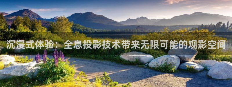 蜂鸟影视在线观看影院：沉浸式体验：全息投影技术带来无限可能的观影空间