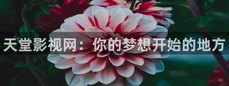 蜂鸟影院影视大全：天堂影视网：你的梦想开始的地方