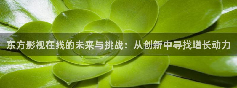 蜂鸟影院高清在线观看：东方影视在线的未来与挑战：从创新中寻找增长动力