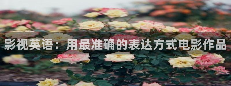 蜂鸟影院高清在线观看：影视英语：用最准确的表达方式电影作品