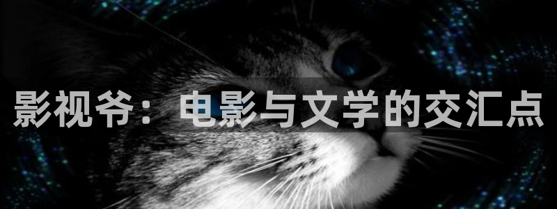 蜂鸟影院电视剧免费观看：影视爷：电影与文学的交汇点