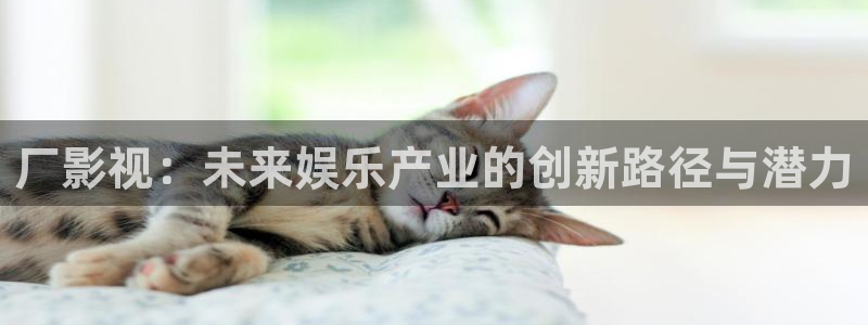 蜂鸟影院观看：厂影视：未来娱乐产业的创新路径与潜力