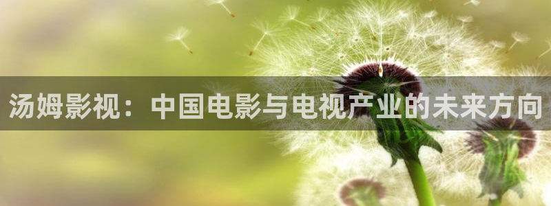蜂鸟影院电影在线播放：汤姆影视：中国电影与电视产业的未来方向