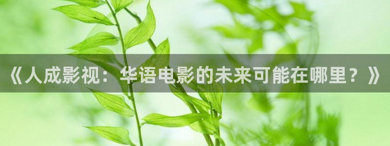 蜂鸟影院在线电影观看：《人成影视：华语电影的未来可能在哪里？》