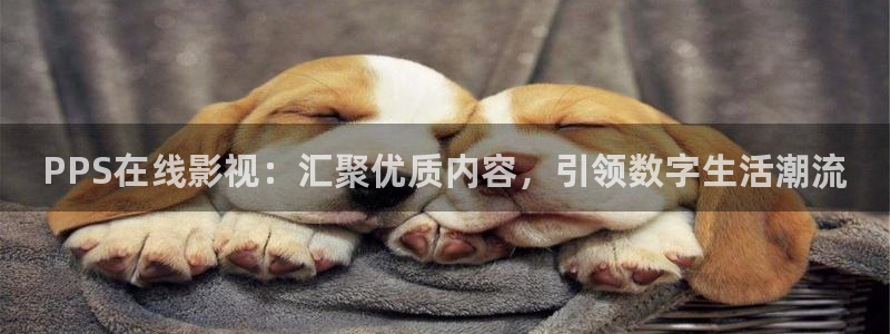 蜂鸟影院理论：PPS在线影视：汇聚优质内容，引领数字生活潮流