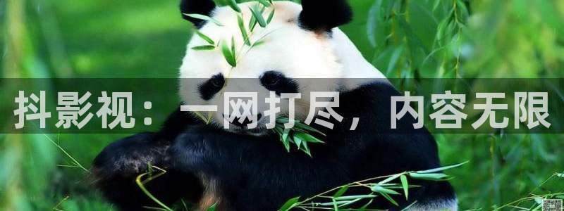 蜂鸟影视在线观看影院：抖影视：一网打尽，内容无限